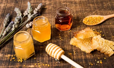 Hasil Alam Yang Sangat Bermanfaat Madu Asli