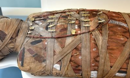 Hewan Atau Manusia Yang Di Awetkan Menjadi Mummy