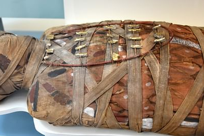 Hewan Atau Manusia Yang Di Awetkan Menjadi Mummy