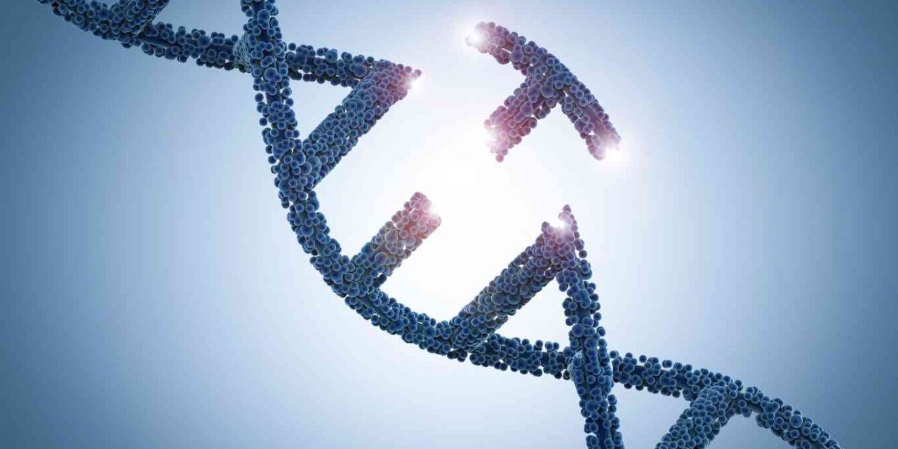 Merubah DNA Organisme Yang Membuat Menjadi Mutan