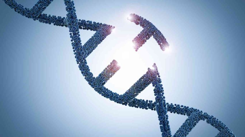 Merubah DNA Organisme Yang Membuat Menjadi Mutan