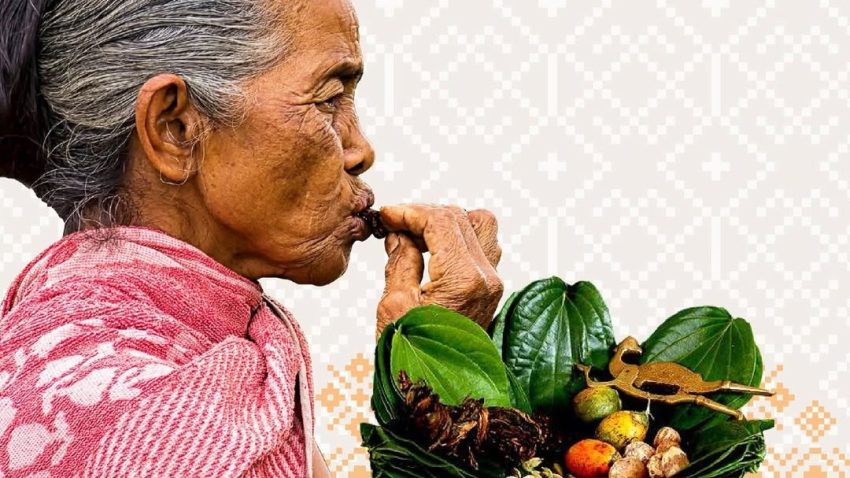 Kunyah Daun Sirih Merupakan Tradisi Di Beberapa Daerah