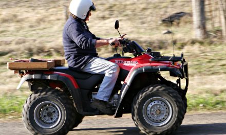Kendaraan Hutan Atau Offroad Yang Cukup Kecil
