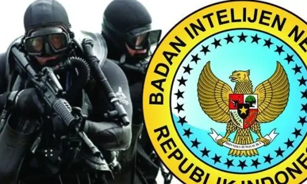 Agen Rahasia Seorang Intelijen Sebuah Negara