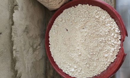 Bahan Dasar Makanan Sagu Yang Cukup Nikmat Sekali