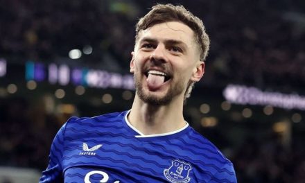 Sebuah Tim Everton Dengan Skill Permainannya