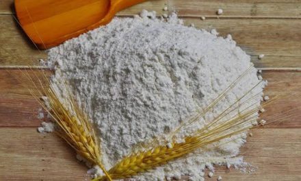 Suatu Bahan Tepung Dengan Beberapa Penggunaan