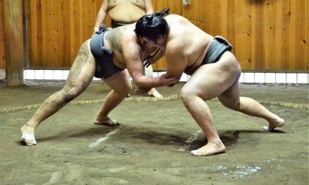 Olahraga Pertahanan Gulat Dengan Kekuatan Fisik
