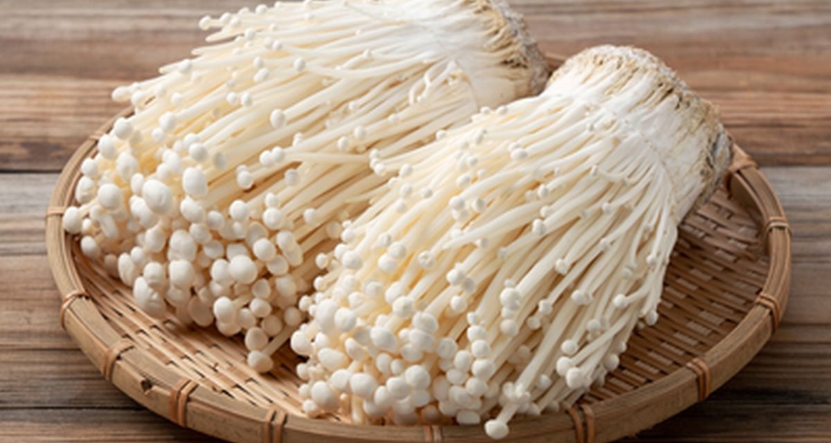 Bahan Makanan Enoki Sebuah Olahan Jamur