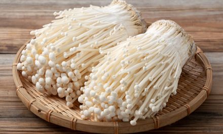 Bahan Makanan Enoki Sebuah Olahan Jamur