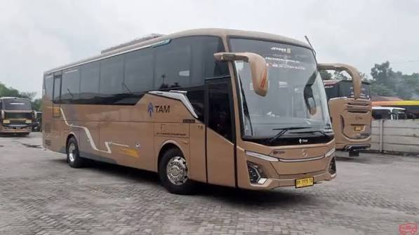 Sebuah Kendaraan Bus Sebagai Transpotasi Umum